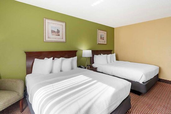 Quality Inn Suites — Guest room