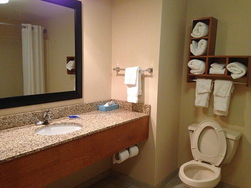 Quality Inn Suites Boone University Area — Bathroom