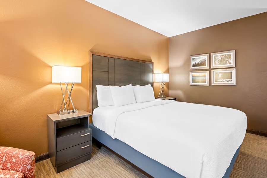 Quality Inn Suites Boone University Area — Guest room