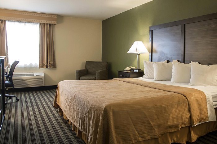 Quality Inn Suites — Guest room