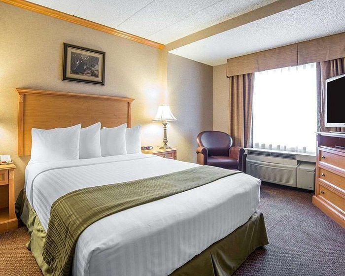 Quality Inn Suites Casper — Guest room