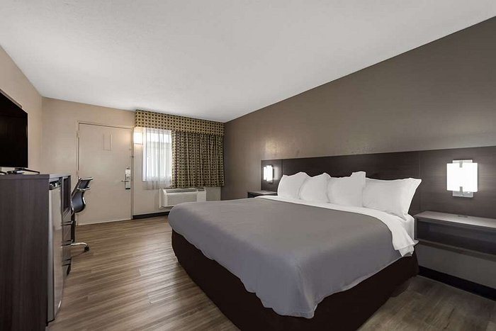 Quality Inn Suites — Guest room