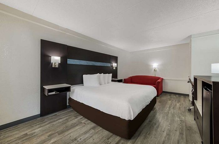 Quality Inn Suites — Guest room