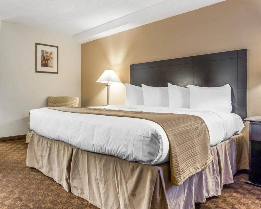 Quality Inn Suites Coliseum — Guest room