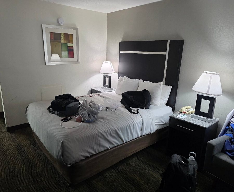 Quality Inn Suites Conference Center — Guest room