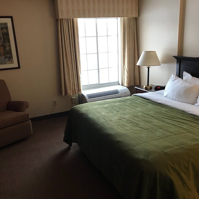 Quality Inn Suites — Guest room
