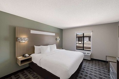 Quality Inn Suites DFW Airport South — Guest room