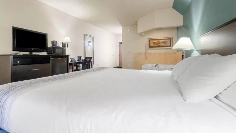 Quality Inn Suites Downtown — Guest room