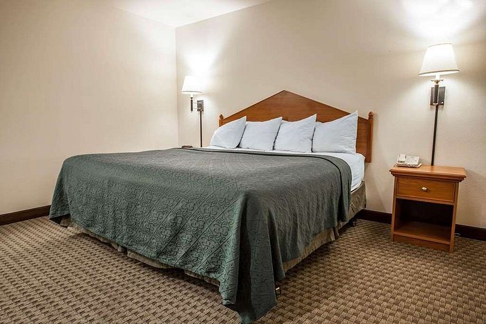 Quality Inn Suites Federal Way — Guest room