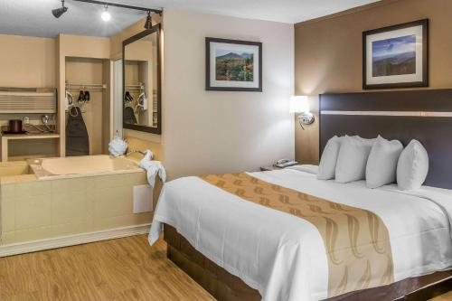 Quality Inn Suites Gatlinburg North — Guest room