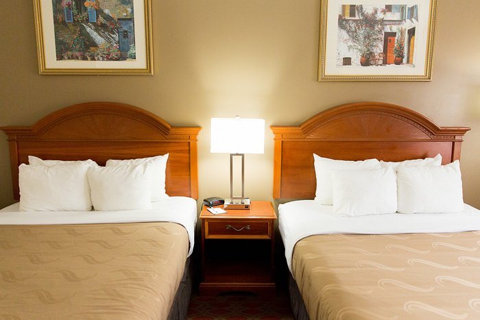 Quality Inn Suites Goodyear Phoenix West — Guest room
