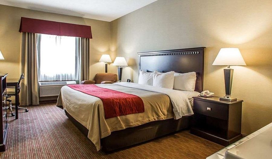 Quality Inn Suites — Guest room