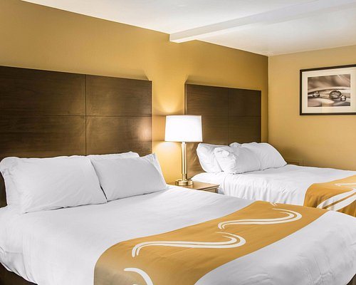 Quality Inn Suites Houghton Downtown — Guest room