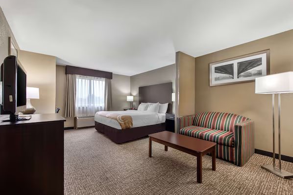 Quality Inn Suites — Guest room
