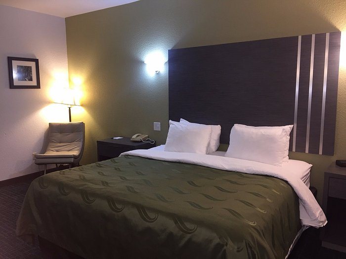 Quality Inn Suites Indianapolis South — Guest room