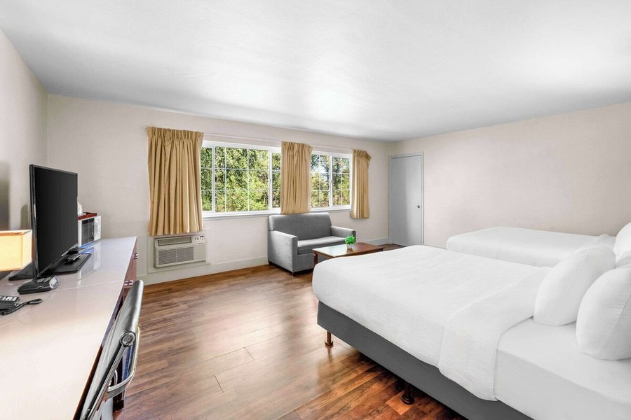Quality Inn Suites — Guest room