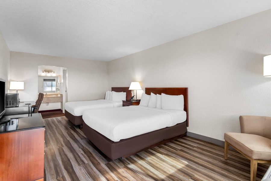 Quality Inn Suites Lake Havasu City — Guest room