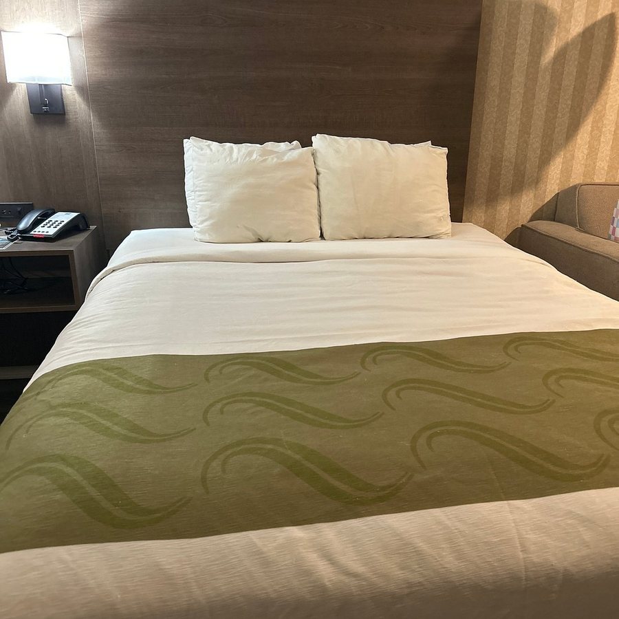 Quality Inn Suites Maingate — Guest room