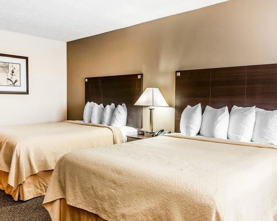 Quality Inn Suites — Guest room