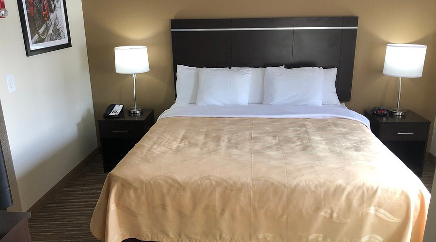 Quality Inn Suites — Guest room