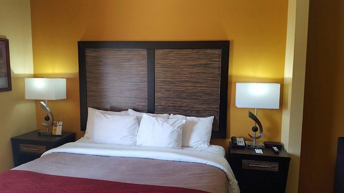 Quality Inn Suites Montgomery East Carmichael Rd — Guest room