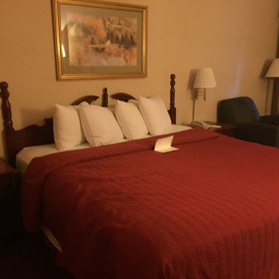 Quality Inn Suites Near Six Flags East — Guest room