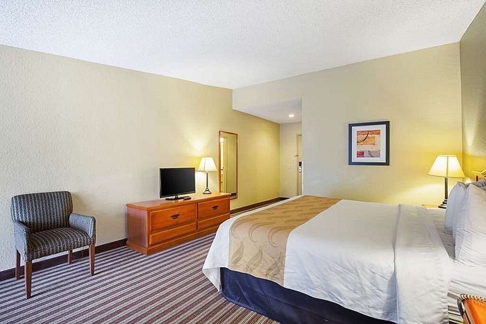 Quality Inn Suites NRG Park Medical Center — Guest room