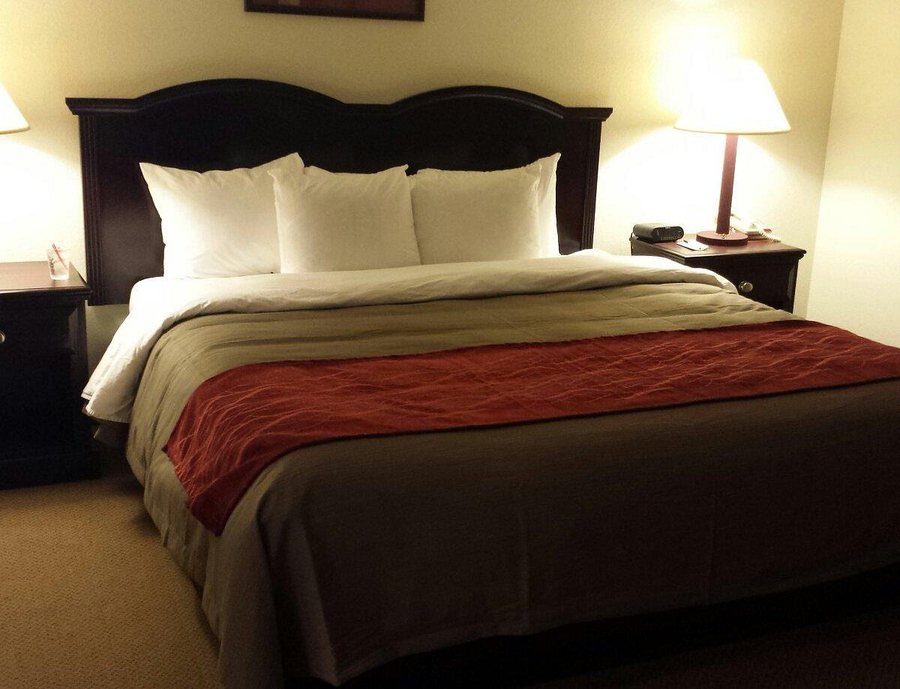 Quality Inn Suites Oklahoma City North — Guest room