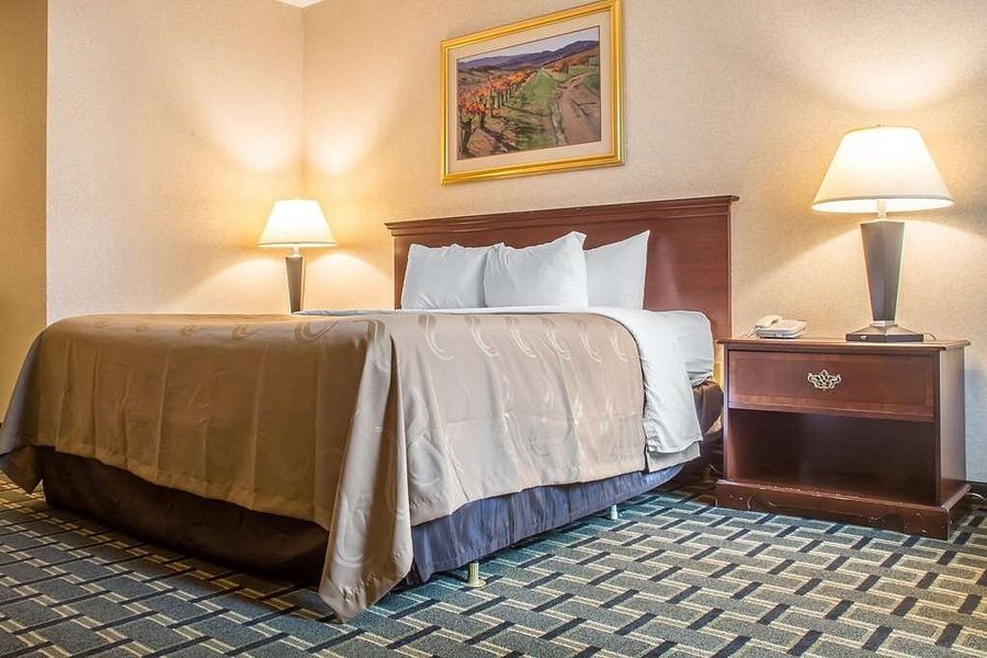 Quality Inn Suites Palm Island Indoor Waterpark — Guest room