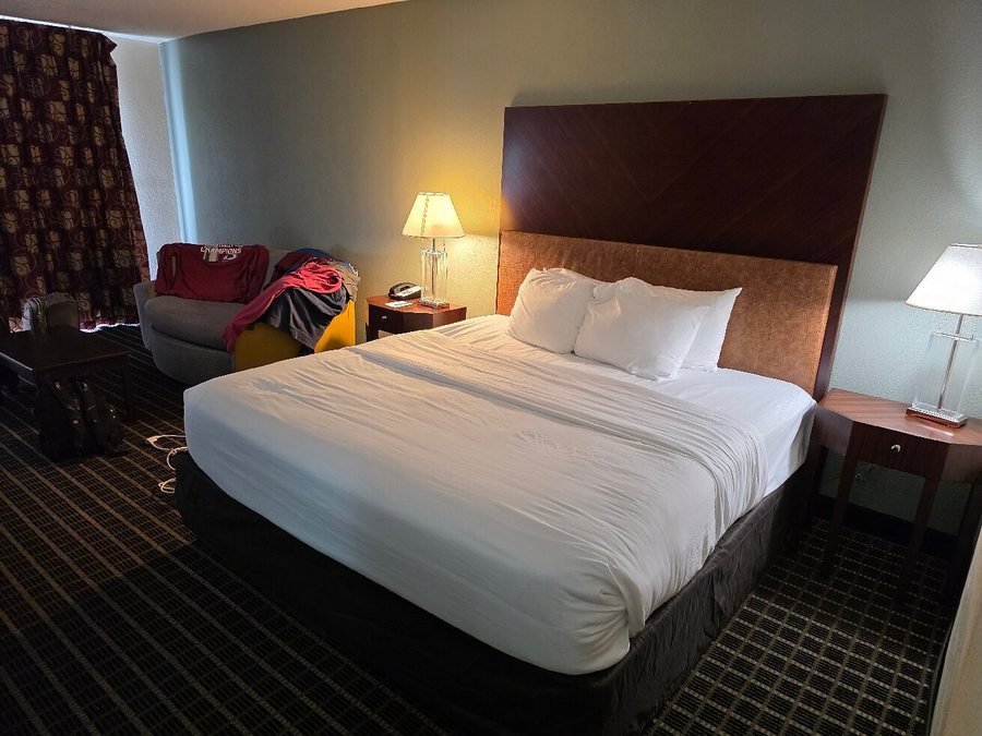 Quality Inn Suites Pensacola Bayview — Guest room