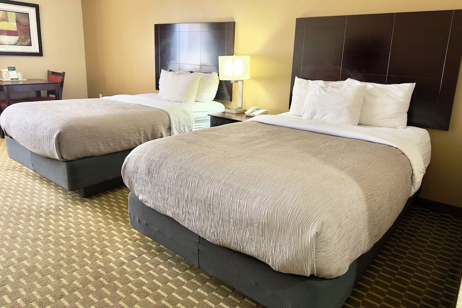 Quality Inn Suites Pine Bluff — Guest room