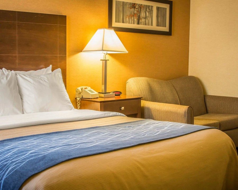 Quality Inn Suites — Guest room