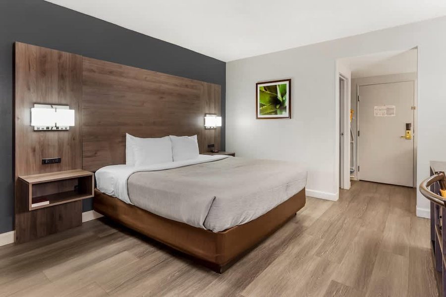 Quality Inn Suites — Guest room