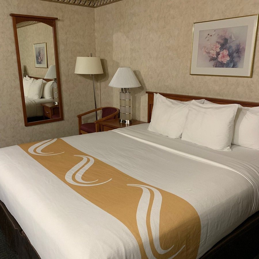 Quality Inn Suites Silicon Valley — Guest room