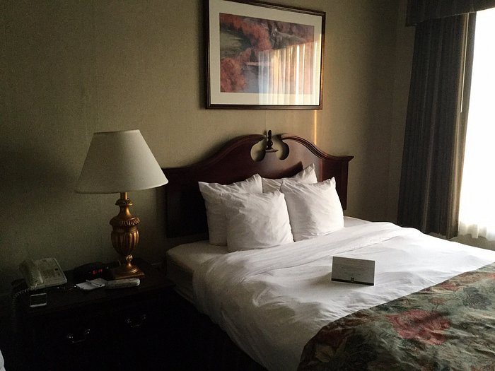 Quality Inn Suites Skyways — Guest room