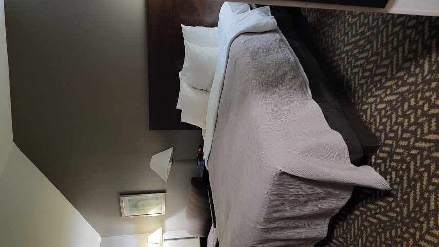 Quality Inn Suites University Airport — Guest room