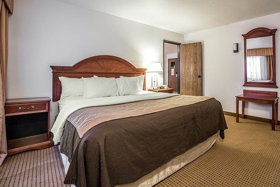 Quality Inn Suites University — Guest room
