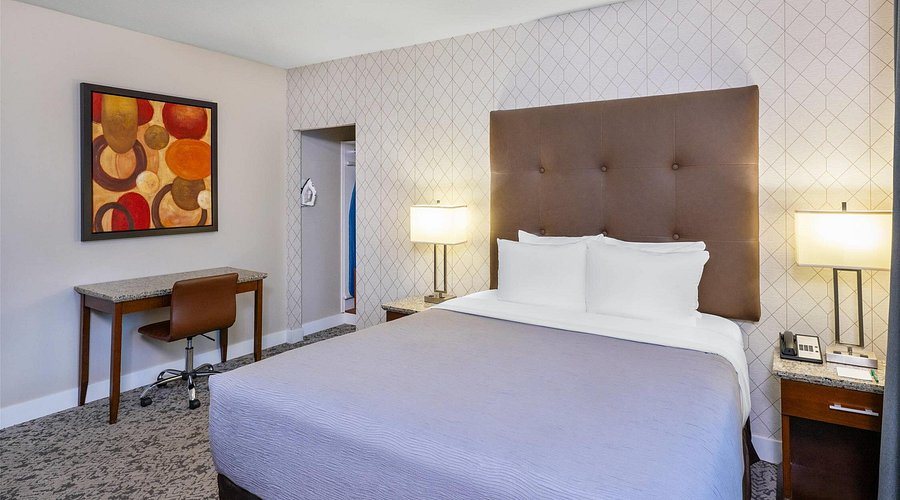 Quality Inn Suites — Guest room