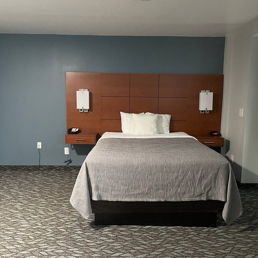 Quality Inn Suites — Guest room