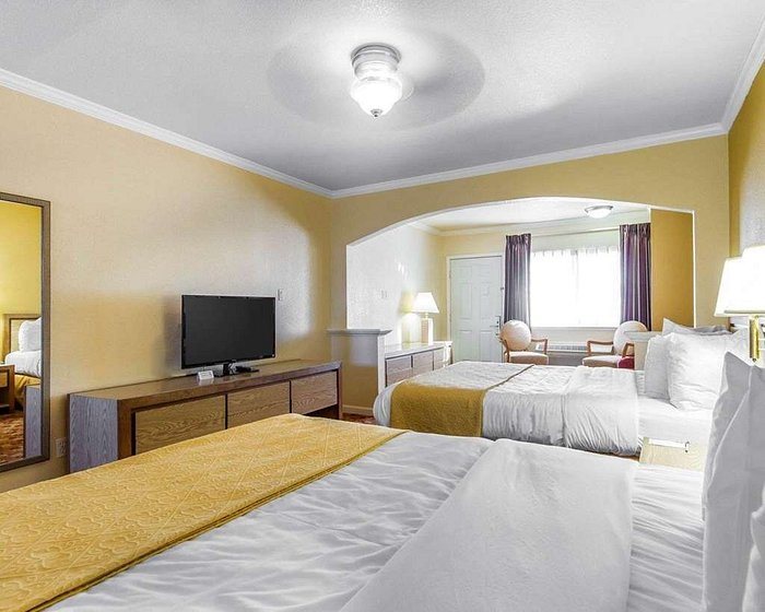 Quality Inn — Guest room
