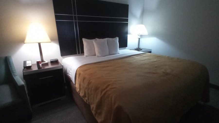Quality Inn Union City Atlanta South — Guest room
