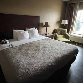 Quality Inn US65 East Battlefield Rd — Guest room