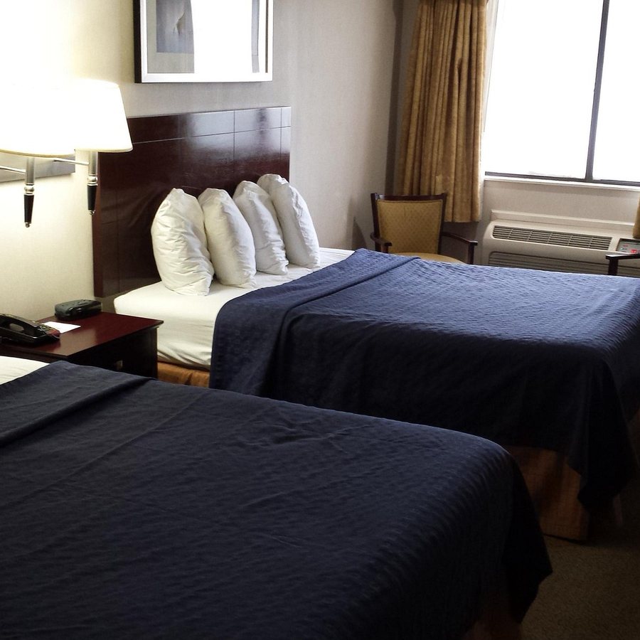 Quality Inn — Guest room