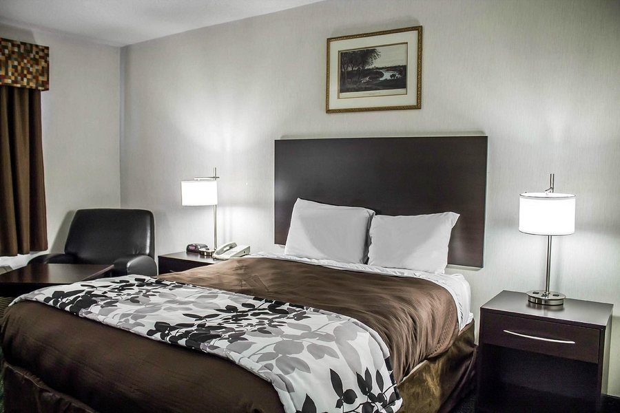 Quality Inn — Guest room
