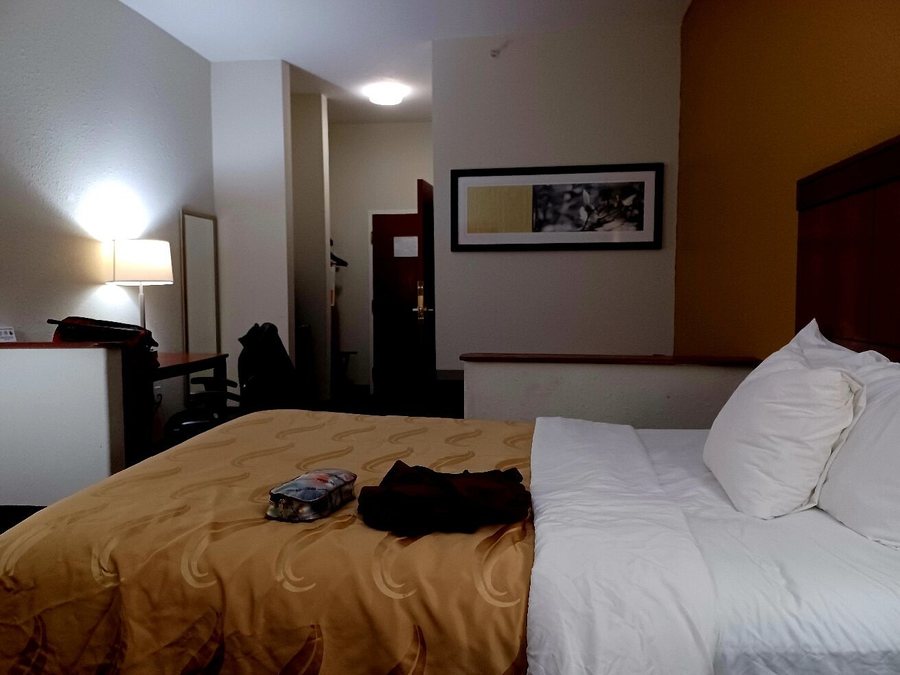 Quality Inn Zephyrhills Dade City — Guest room