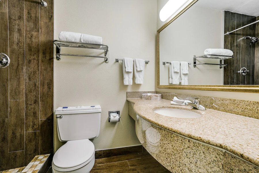 Quality Suites Addison Dallas — Bathroom