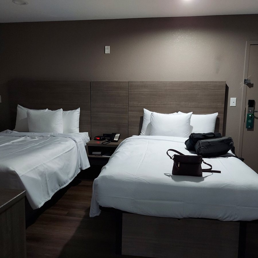 Quality Suites Wildwood The Villages — Guest room