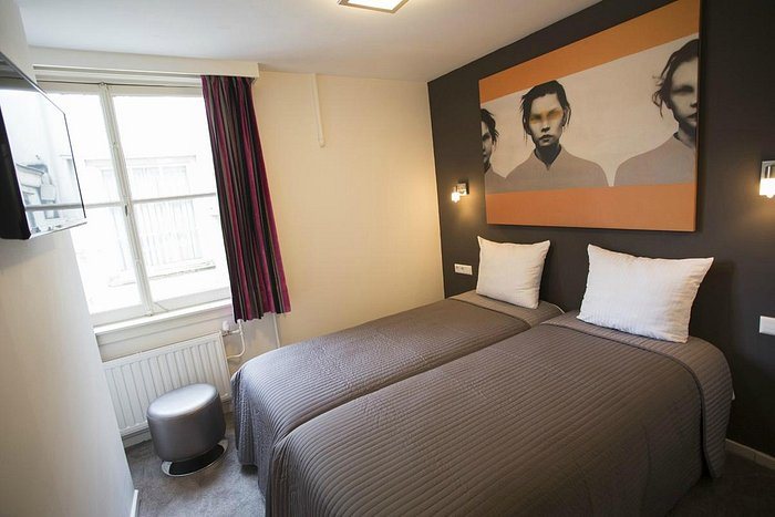 Quentin The golden bear — Guest room