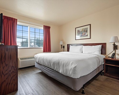Quincy Inn Suites — Guest room