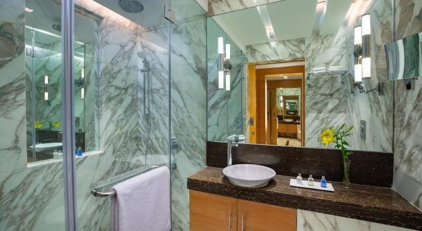 Radisson Blu Marina Hotel Delhi Connaught Place — Bathroom